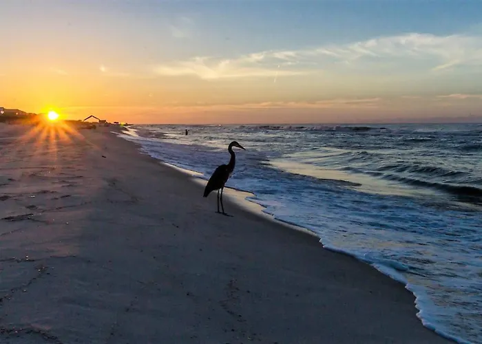 Club D-407 New! Beachfront 2bed2 Bath-luxury Resort-amenities-sleeps 6 Resort Gulf Shores